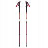 Trekingové palice inSPORTline Altiplano 100 Pair červené