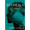 Zlodějka minulosti (Tiffany Reiszová)