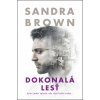 Dokonalá lesť - Sandra Brown