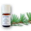 Arttec Céder atlantický (Cedrus atlantica), Céder atlantický NAT00005