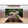 Panel do kuchyne Tiger na skale 100x50 cm