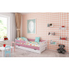 BabyBeds Detská posteľ RYSIO Farebné prevedenie: Růžová, Velikost postele: 160x80 cm, Úložný priestor k posteli: Áno, s úložným priestorom
