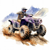 CUKROVÁ JEDLÝ OBRÁZOK NA TORTU TLAČ QUAD auto cross moto dekorácia narodeniny