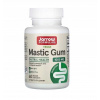 Výživový doplnok Jarrow Formulas Mastic Gum 60 kapsúl
