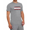 Pánske tričko NIKE JORDAN JUMPMAN STICKER CREW S (Pánske tričko NIKE JORDAN JUMPMAN STICKER CREW S)