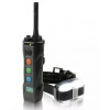 Dogtra 4500 Edge