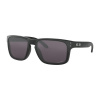 Oakley Holbrook oo9102-36