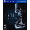 Until Dawn