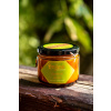 Song of India Sojová sviečka Organic Goodness Pačuli & Vanilka 200g