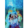 Střípky času: Pán čarodějů - Petra Slováková - online doručenie