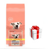 PURINA Dog Chow Adult Sensitive Salmon 16,5kg (14kg+2,5kg GRATIS!!) +PREKVAPENIE PRE VÁŠHO PSA