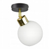 Závesná lampa luster flafon sklenená mliečna guľa (Závesná lampa luster flafon sklenená mliečna guľa)