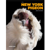 NEW YORK PIGEON