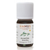 Hanus - Bylinné prípravky HANUS SILICA KLINČEK ole 1x10 ml