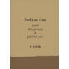 Voda se čistí aneb Mladý muž a pražské jaro (Miroslav Krůta)