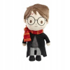 Rainbow Harry Potter