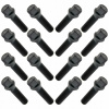 Skrutka Carbonado M14x1.50 kužeľová, kľúč 17 45 mm 16 ks