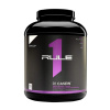 Rule1 R1 Casein 1870 g