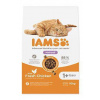 Iams Cat Adult Hairball Chicken 10kg