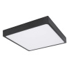 Globo LED Stropné svietidlo ECHO 12369-30, 220 x 220 x 26 mm
