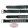 Obojok ACTIVE kožený (L-XL) 55-65 cm/40 mm