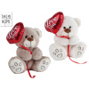 Mikro trading Take Me Home - Medvěd plyšový - 20 cm - sedící s plyšovým balónkem ve tvaru srdce