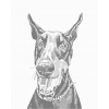 ZUTY Bodkovanie - DOBERMAN Rámovanie: bez rámu a bez vypnutia plátna, Rozmer: 40x50 cm