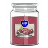 Aura /Bispol/ Aura Bispol Chocolate Cherry vonná sviečka 500g