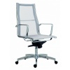 Antares 8800 Kase Mesh High Back