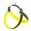 AGILA FLUO 5 HARNESS YELLOW