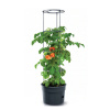 Kvetináč Prosperplast TOMATO GROWER na pestovanie paradajok 29,5 cm antracit