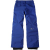 O'Neill ANVIL PANTS fialová,sivá Chlapčenské snowboardové/lyžiarske nohavice 164