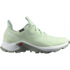 Boty Salomon Alphacross 3 GTX W spray/white UK7,5