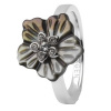 SKAGEN WOMAN JEWELS JRSB023SS5