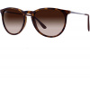 Ray Ban Dámské sluneční brýle RB4171 865/13 54