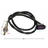 Lambda sonda Sprint/Fighter/Volcano 50 MotoGeneric