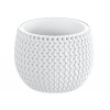 Prosperplast Splofy Bowl DKSP240-S449 flowerpot 24 cm