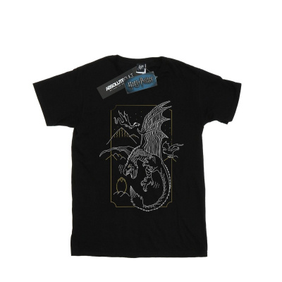 Harry Potter Shop Harry Potter - Dámske tričko "Dragon Line Art" BI26723 (M) (Čierna)