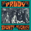 Prúdy - Zvoňte zvonky LP