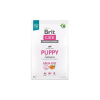 Brit Care dog Grain-free Puppy 3 kg