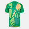 adidas Tiro 24 Pro Short Sleeve Goalkeeper Jersey Team Green L