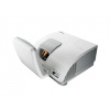 Vivitek D795WT