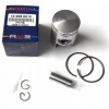 Piest rms gilera č.g zip liberty RMS 100090018