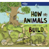 How Animals Build Lonely Planet Kids