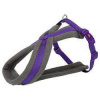 Nylonový postroj PREMIUM podšitý - fialový L-XL: hruď: 70-110cm/25mm