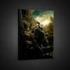 Obraz na plátne obdĺžnik - OB1598 - Loki 60cm x 40cm - O4