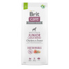 Brit Care Dog Sustainable Junior Large Breed 3 kg