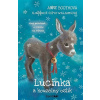 Lucinka a kouzelný oslík