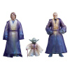 Hasbro Star Wars Episode VI Black Series Akční Figurka 3-Pack Force Spirits 15 cm