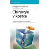 Chirurgie v kostce